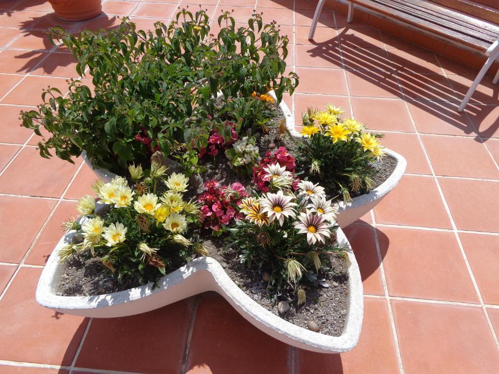 Villa Flavia - Adults Only Ponza Exterior photo